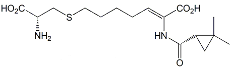 Cilastatin Acid