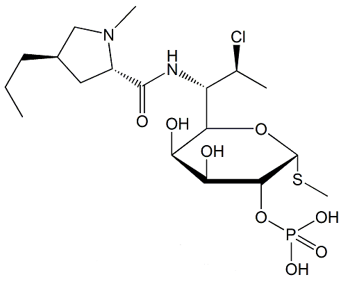 Clindamycin Phosphate