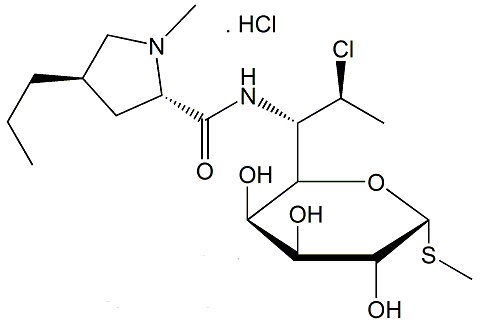 Clindamycin HCl