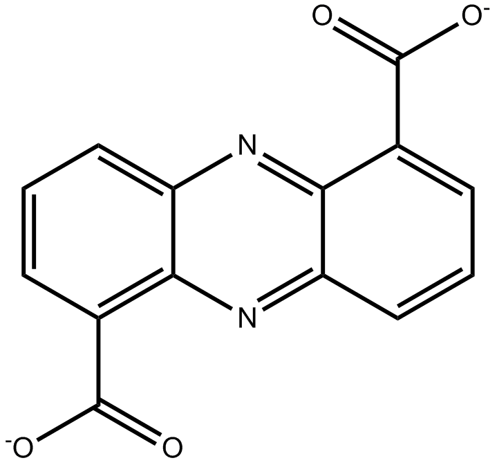 Phenazine-1,6-Dicarboxylate