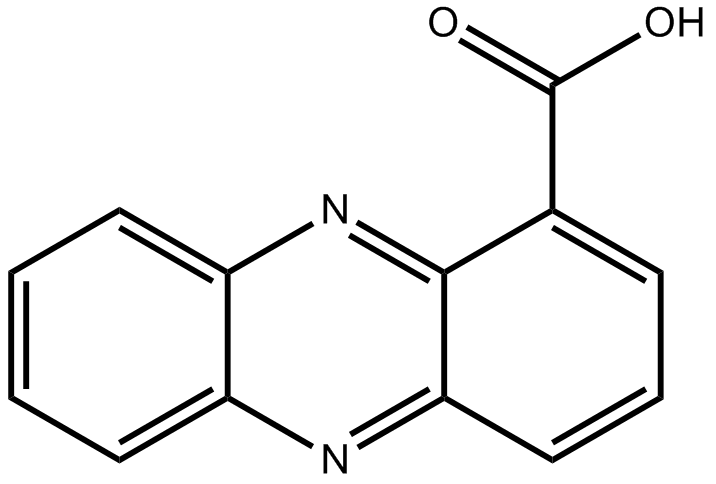 Phenazine-1-Carboxylic Acid