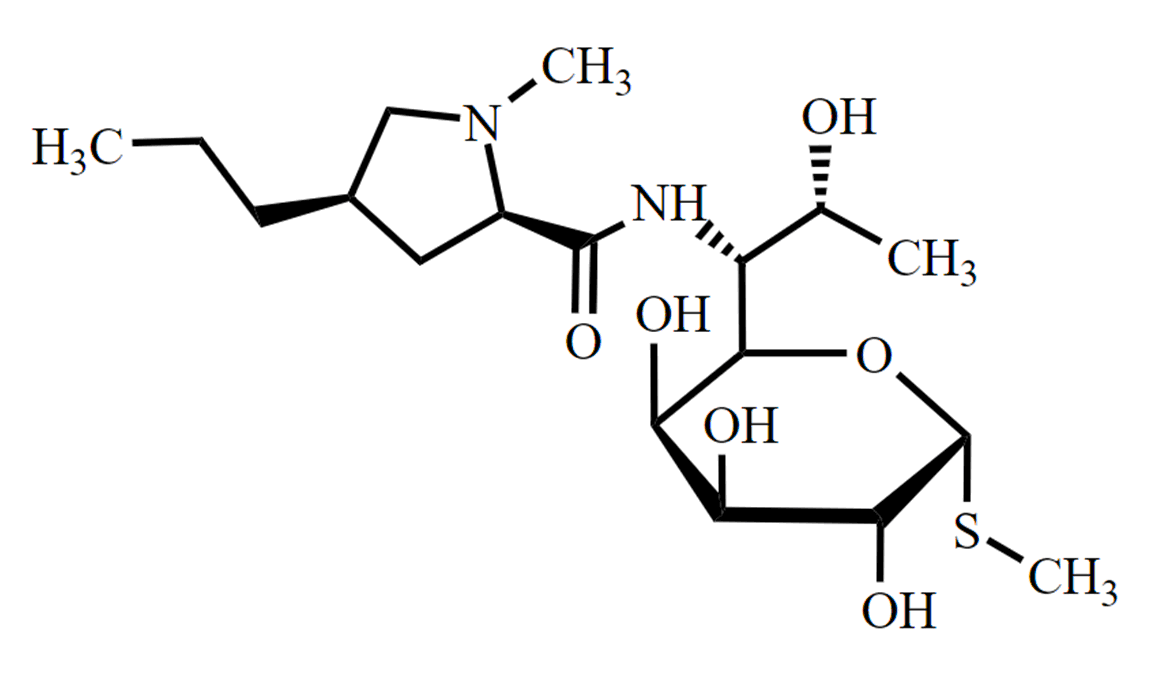 Lincomycin Impurity A