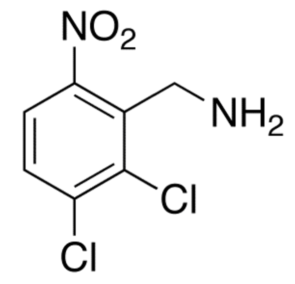 2,3-Dichloro-6-Nitrobenzylamine
