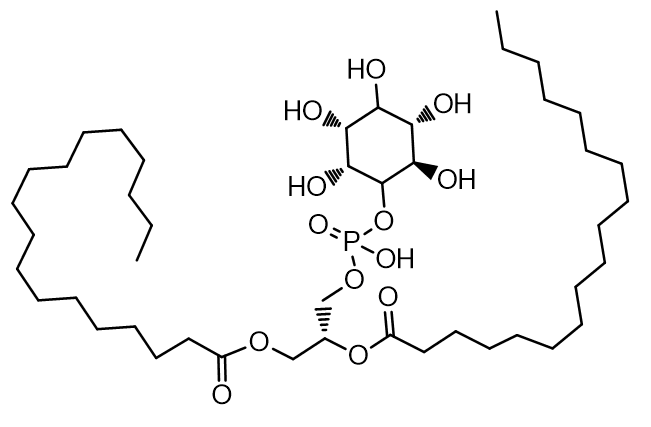 L-α-Phosphatidylinositol